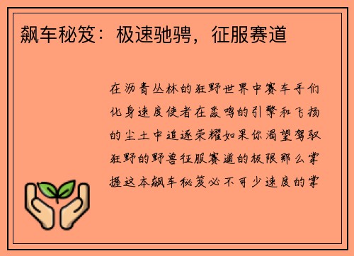 飙车秘笈：极速驰骋，征服赛道